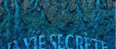 Conférence 2 / LA VIE SECRETE DES ATOLLS